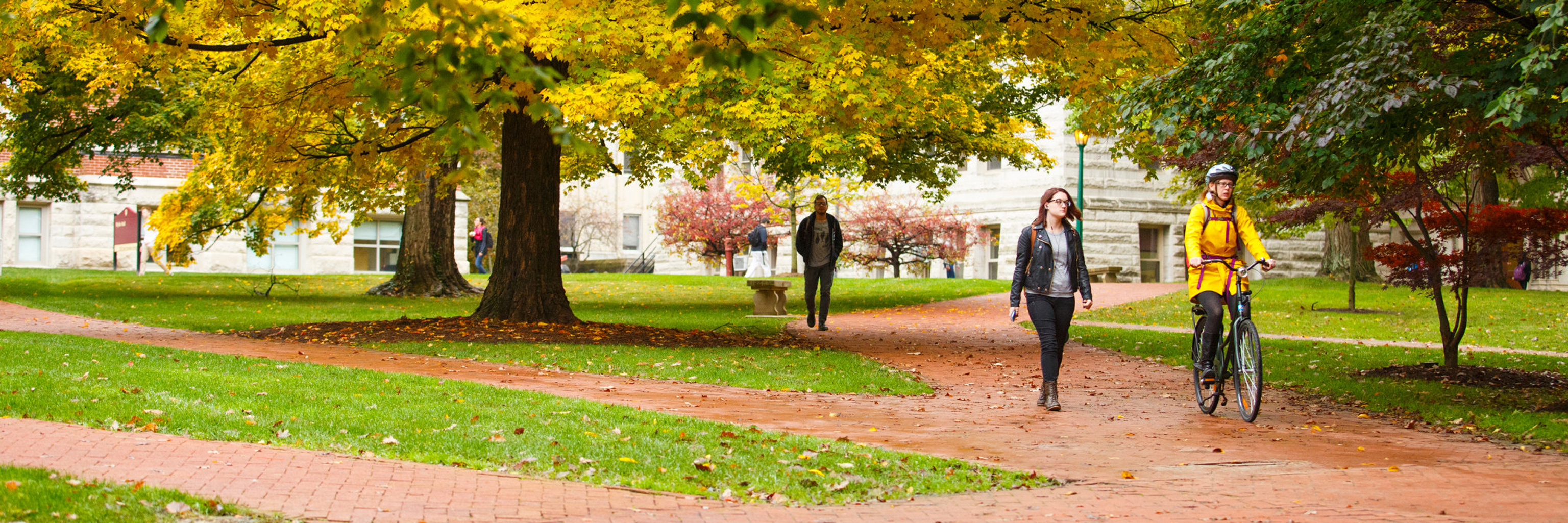 Students walking along a brick path through campus.
